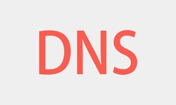 北京软件开发、DNS的基本概念、北京星空网页版入口（中国）官方网站软件开发