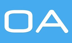 软件外包公司、OA系统开发功能有哪些？费用是多少-软件开发公司[北京星空网页版入口（中国）官方网站]