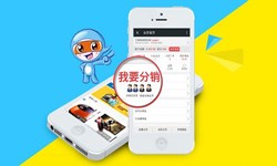 商城分销系统怎么开发?有哪些功能？星空网页版入口（中国）官方网站软件开发公司