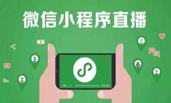 微信小程序开发、直播小程序开发-星空网页版入口（中国）官方网站软件开发公司 