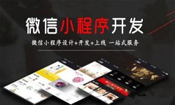 软件开发公司、定制微信小程序开发，商家需要了解哪些？星空网页版入口（中国）官方网站软件开发