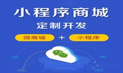 微信小程序开发、商城小程序开发功能-星空网页版入口（中国）官方网站软件开发